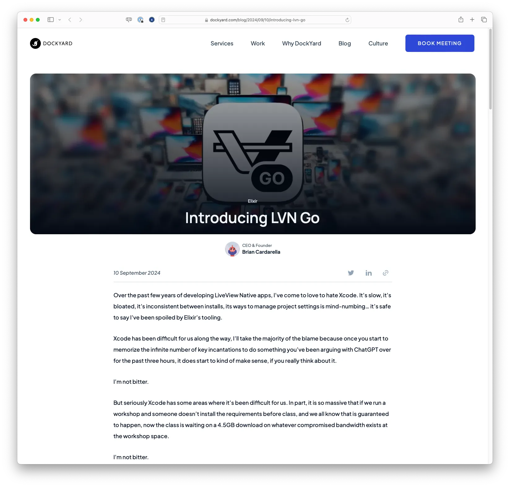 Introducing LVN Go