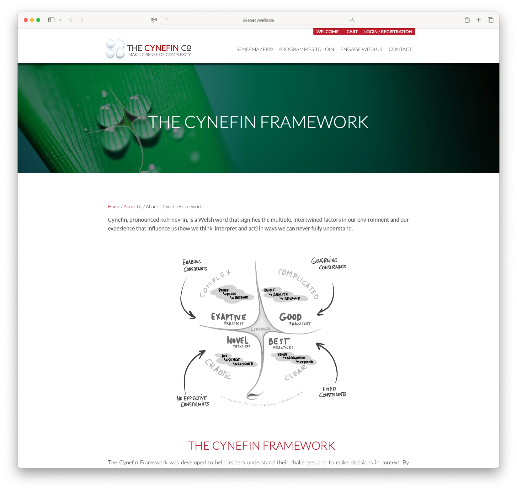 The Cynefin Framework Overview