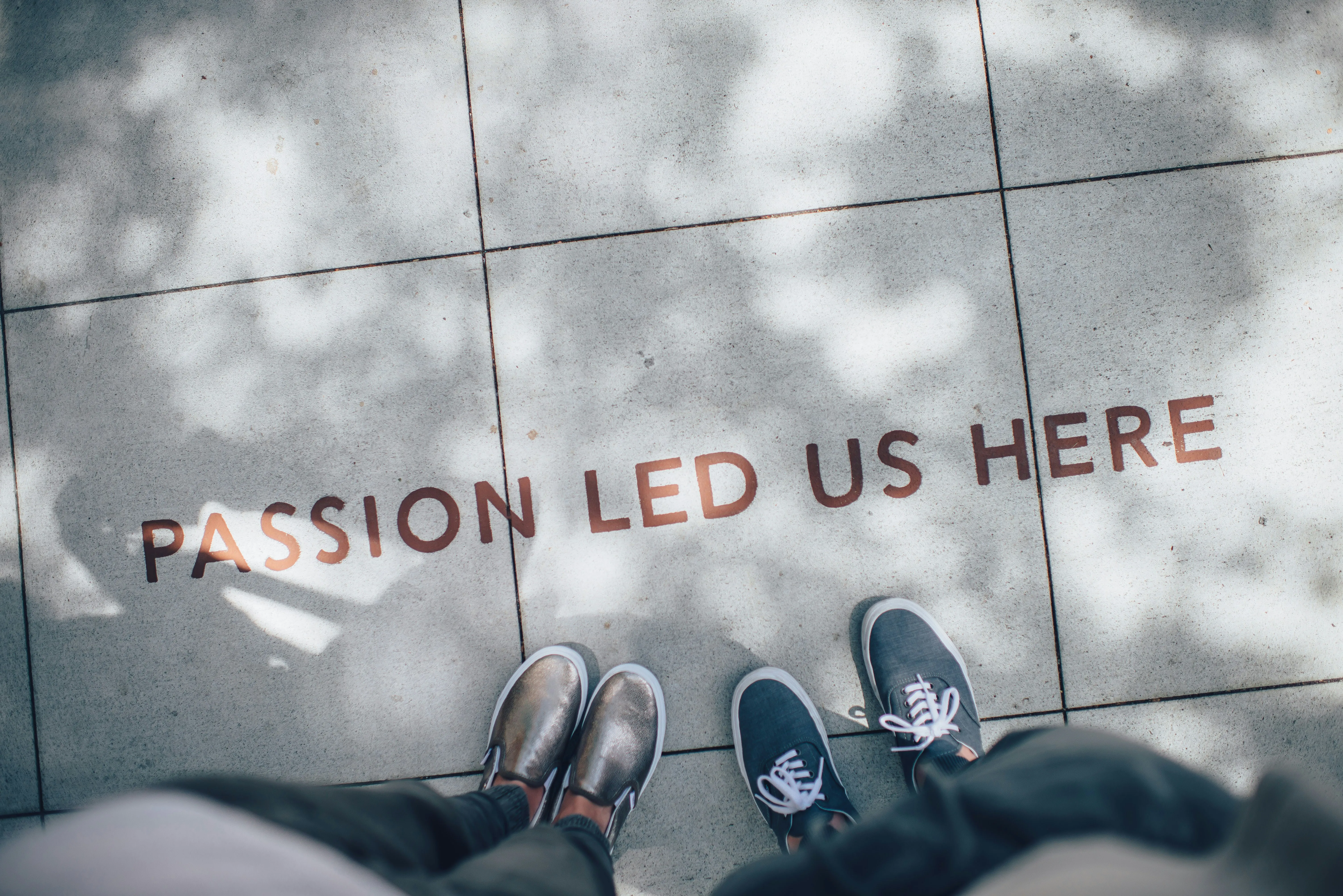 campaign-creators-TamMbr4okv4-unsplash.jpg