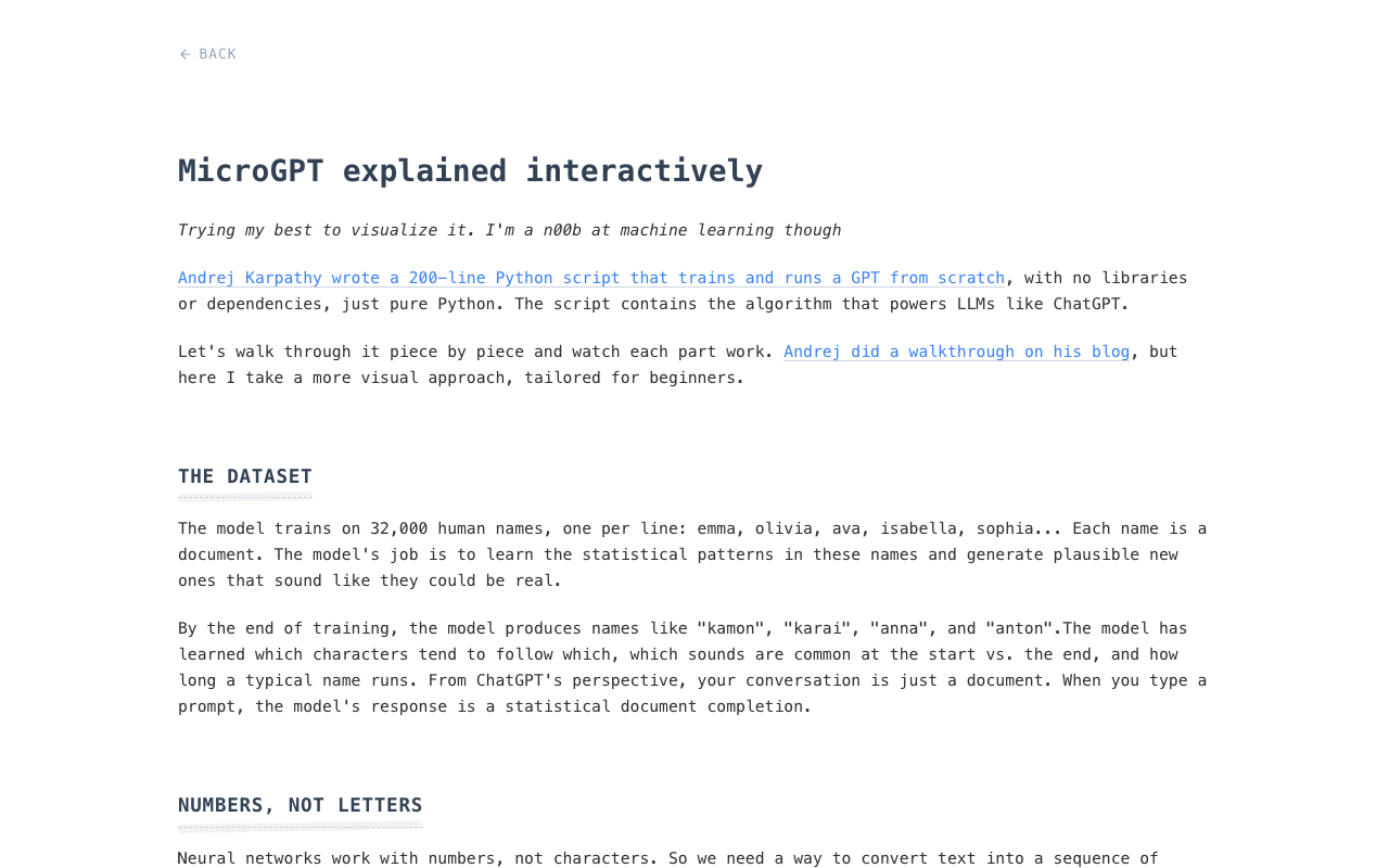 MicroGPT explained interactively